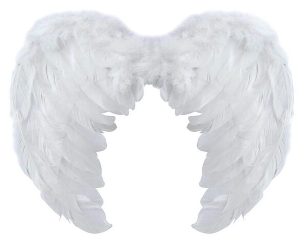 крылья ангела белые